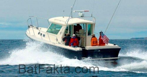 Albin 31 Tournament Express tekniska specifikationer och recensioner
